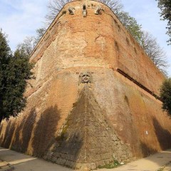 Екскурсія з Риму в Сієну та Монтальчино – фото 2