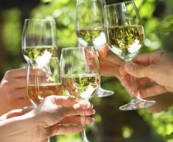 Еногастрономічна екскурсія з Риму у Фраскаті "In vino veritas"